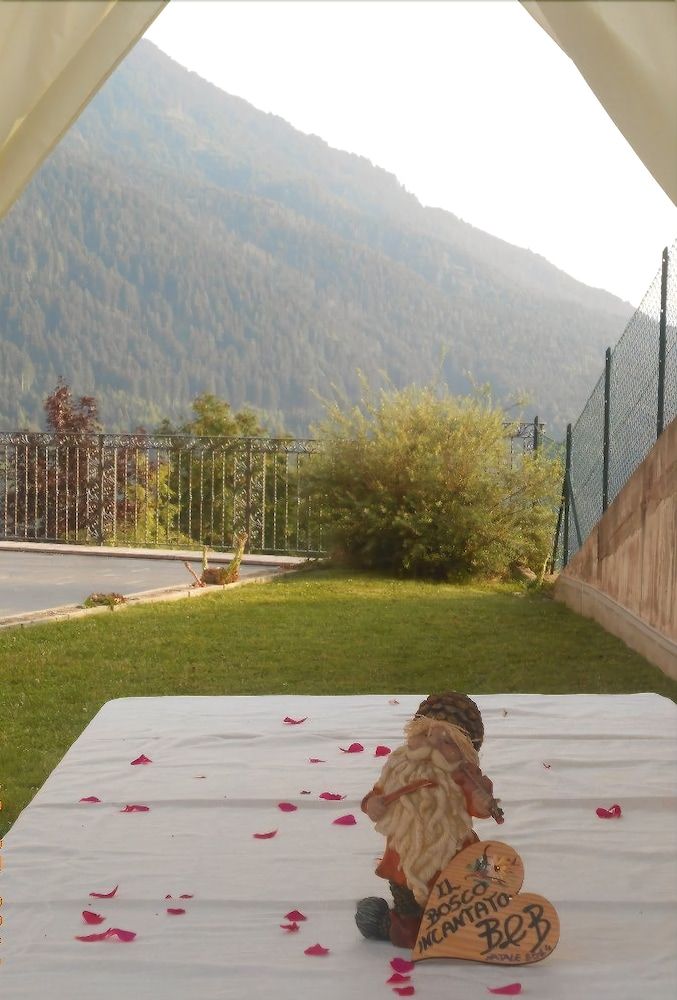 Il Bosco Incantato B&B