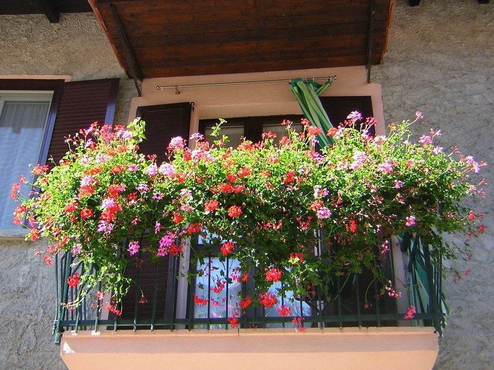 B&B Da Di