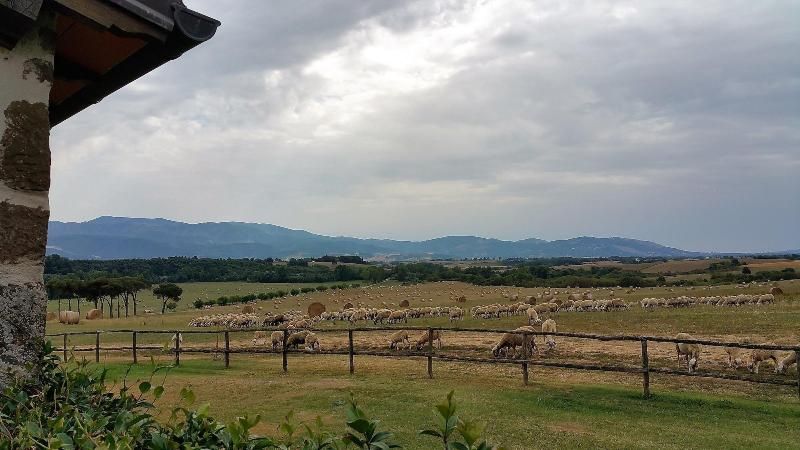 Agriturismo La Polledrara
