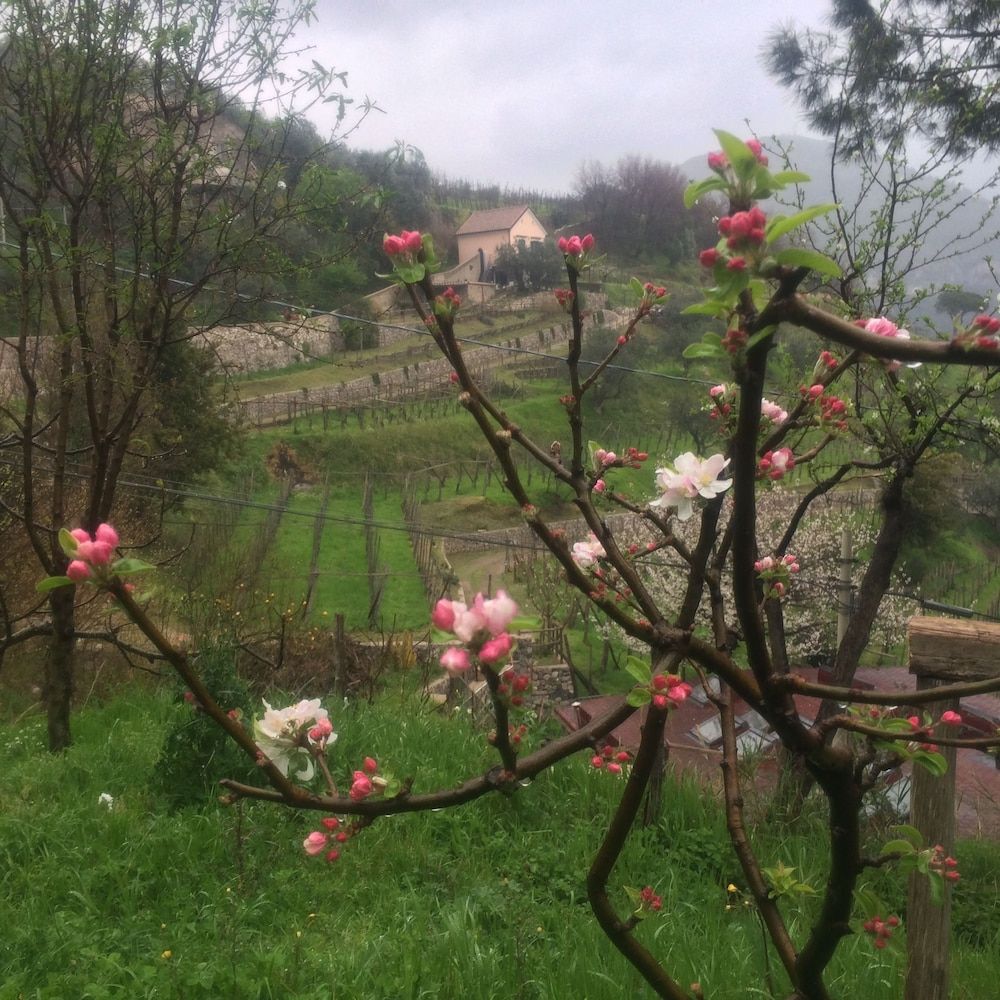 Il Melograno B&B