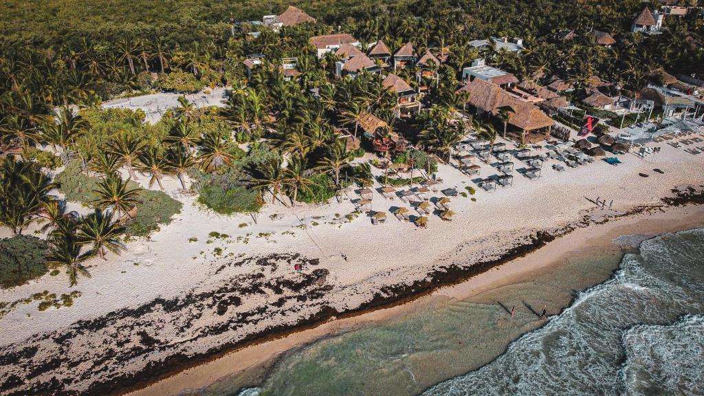 Orchid House Tulum Beach