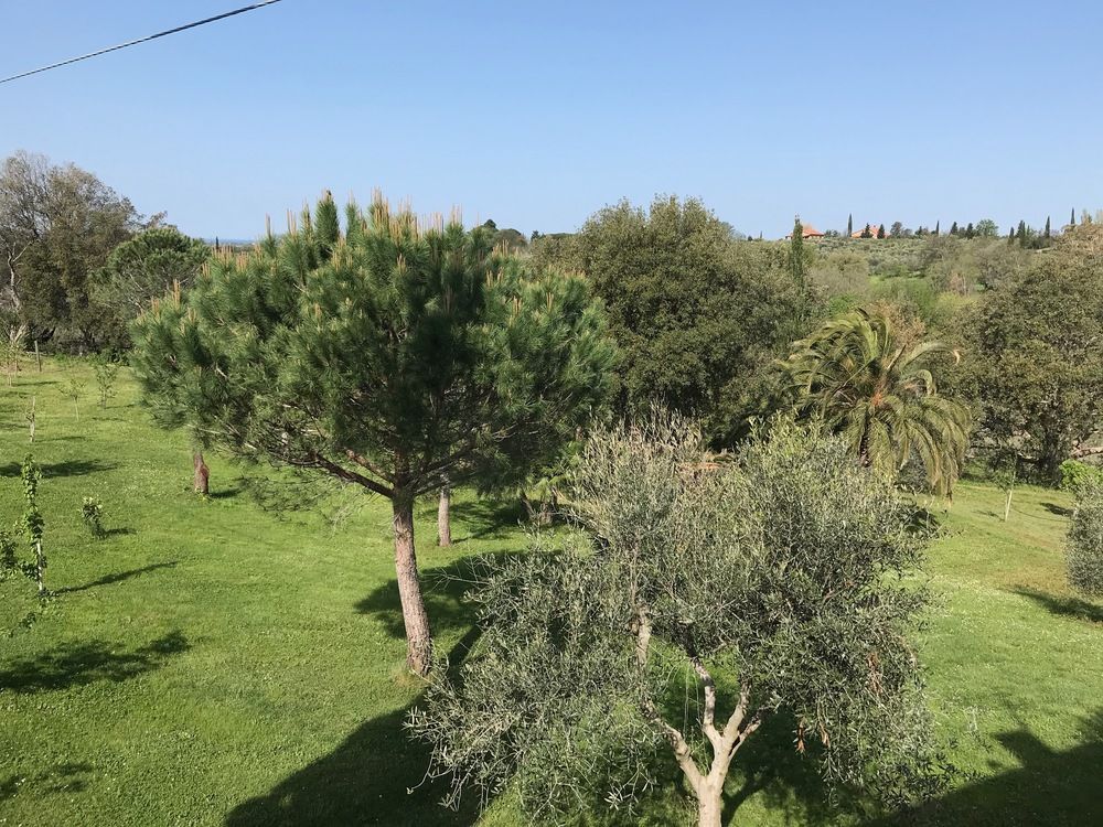 Tenuta De Fanti