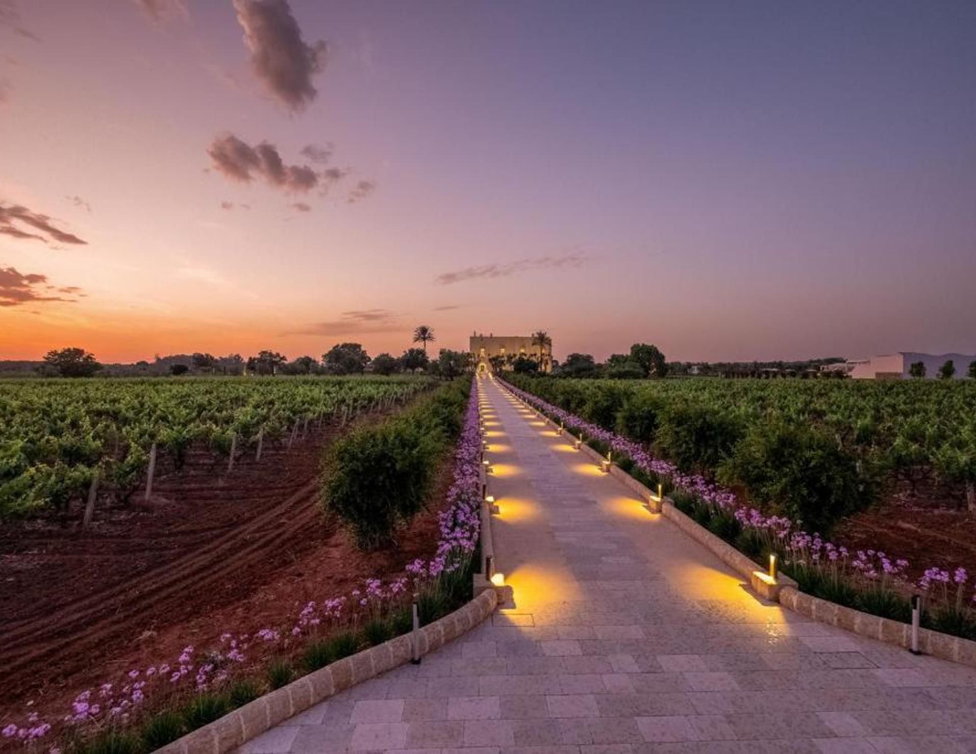 Tenuta Rocci Cerasoli