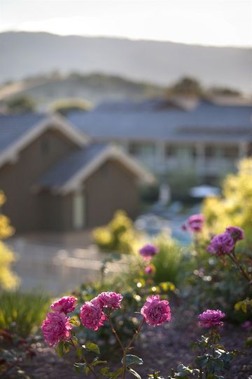 Rosewood Sand Hill