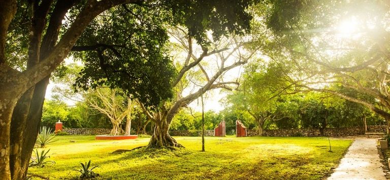 Hotel Hacienda Ticum