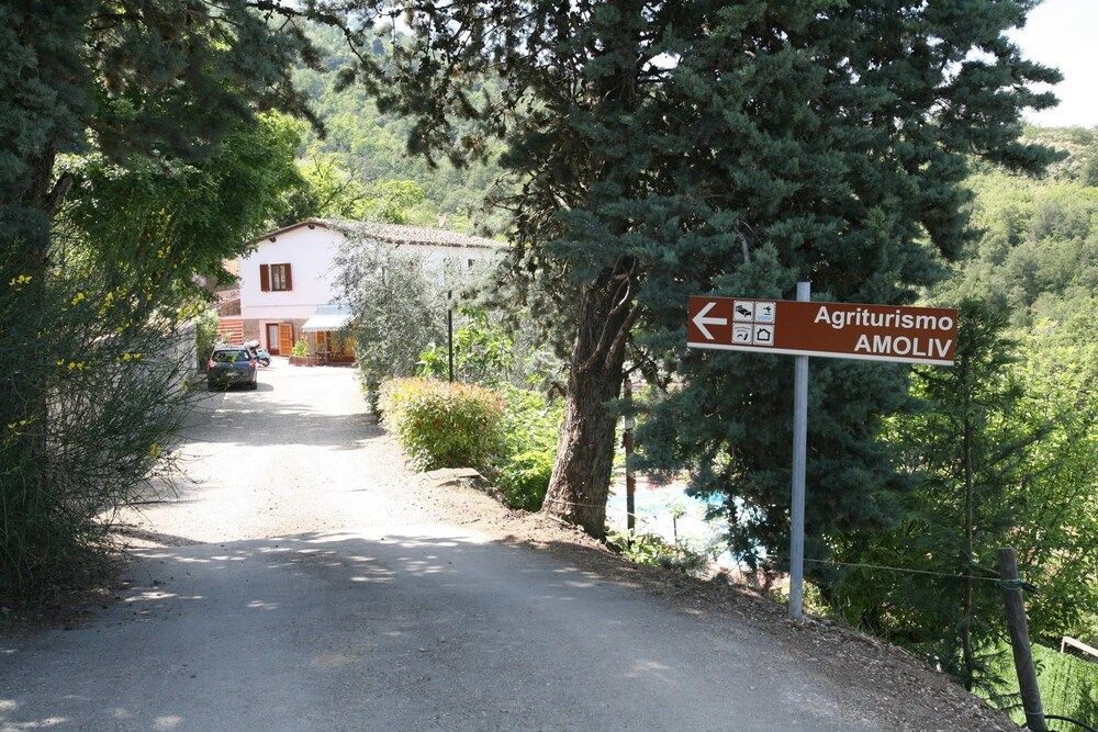 Amoliv