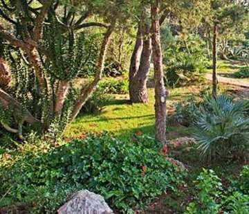 Capo Caccia Resort