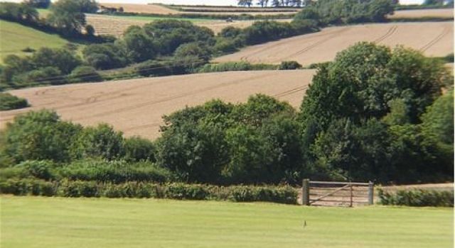 Cadson Manor