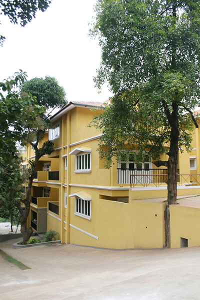 Surya Sangolda