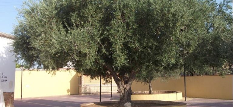 Hotel Mesón del Moro