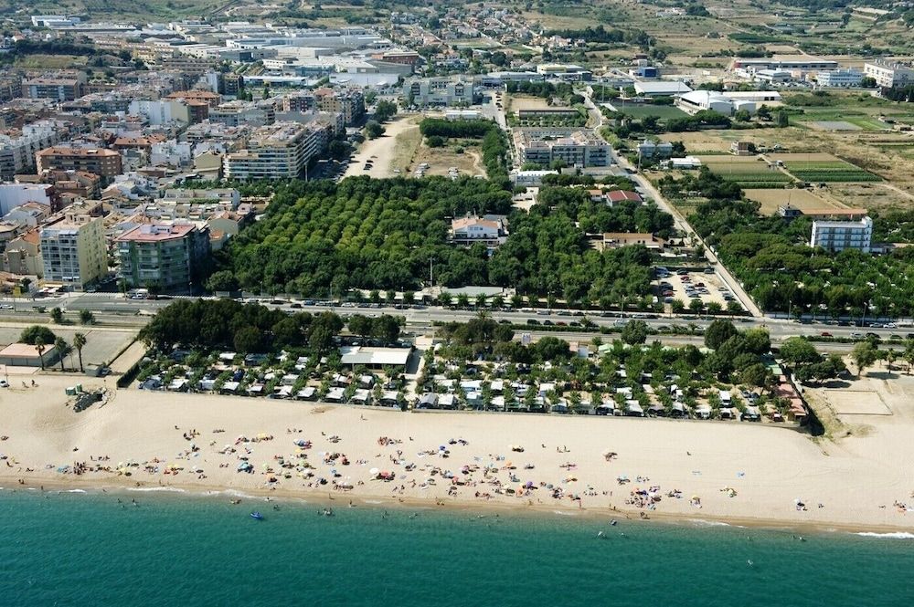 Caballo de Mar
