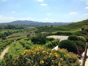 Agriturismo Vedova