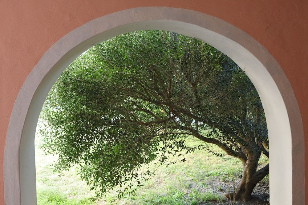 Luci del Faro