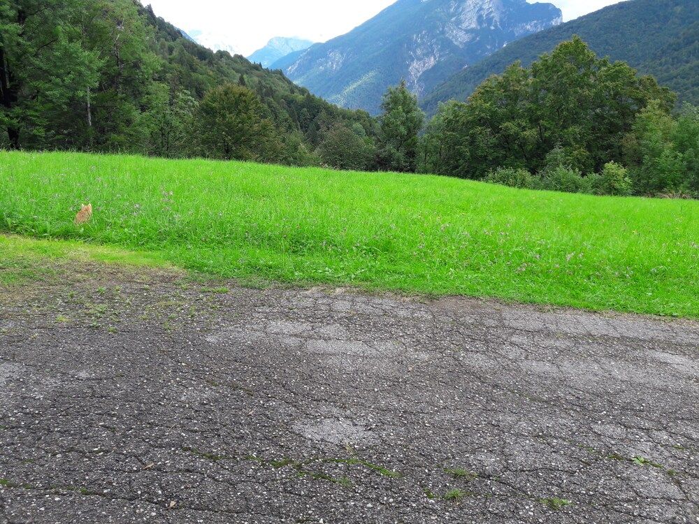 B&B Dolomia