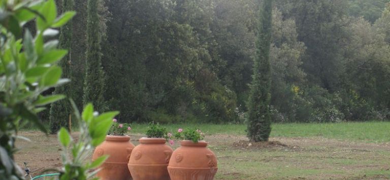 Ginestriccio