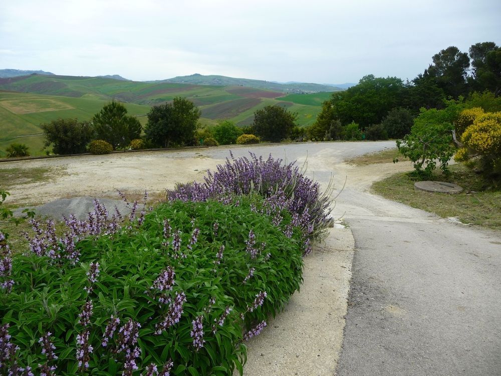 Agriturismo Antico Feudo San Giorgio