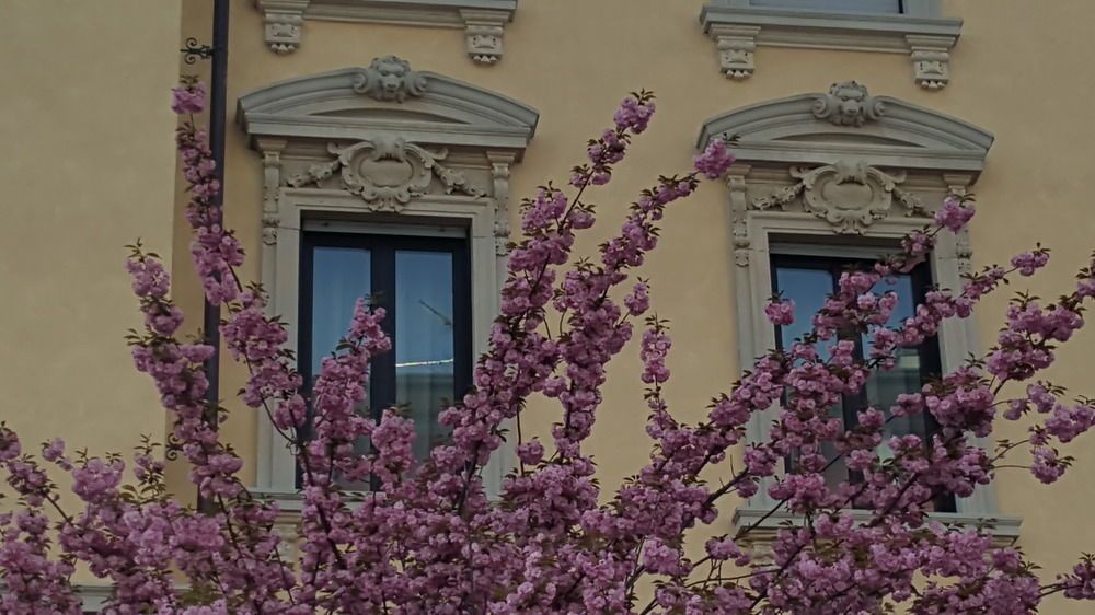 Hotel La Nuova Rotaia