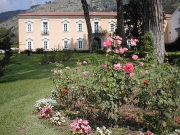 Certosa di San Giacomo