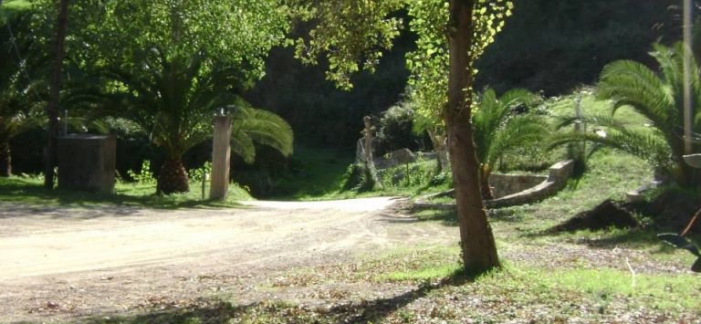 Monte Alto