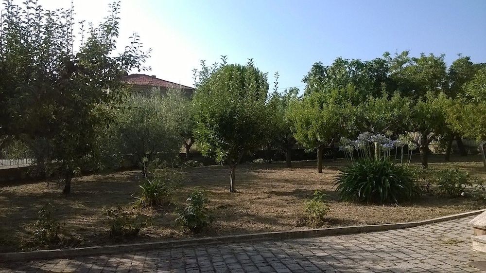 Le Vigne In Castignano