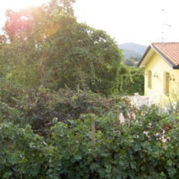 Agriturismo Monteortone