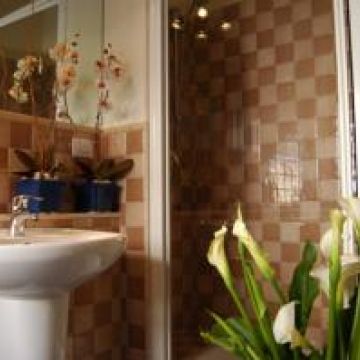 B&B Bogamari