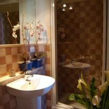 B&B Bogamari