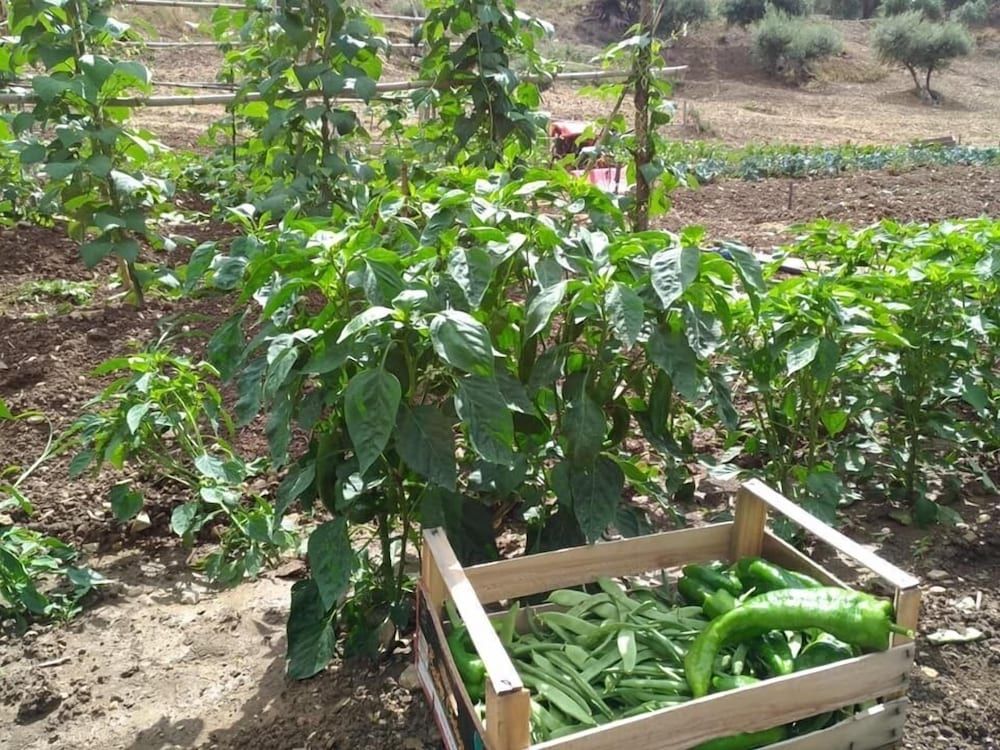 Agriturismo Le Campanelle