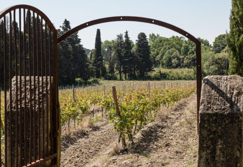 Les Chateau Des Cinq Cantons