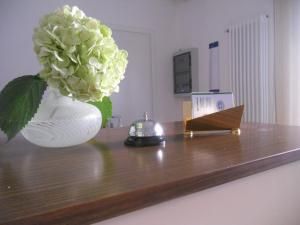 B&B Oleaclub