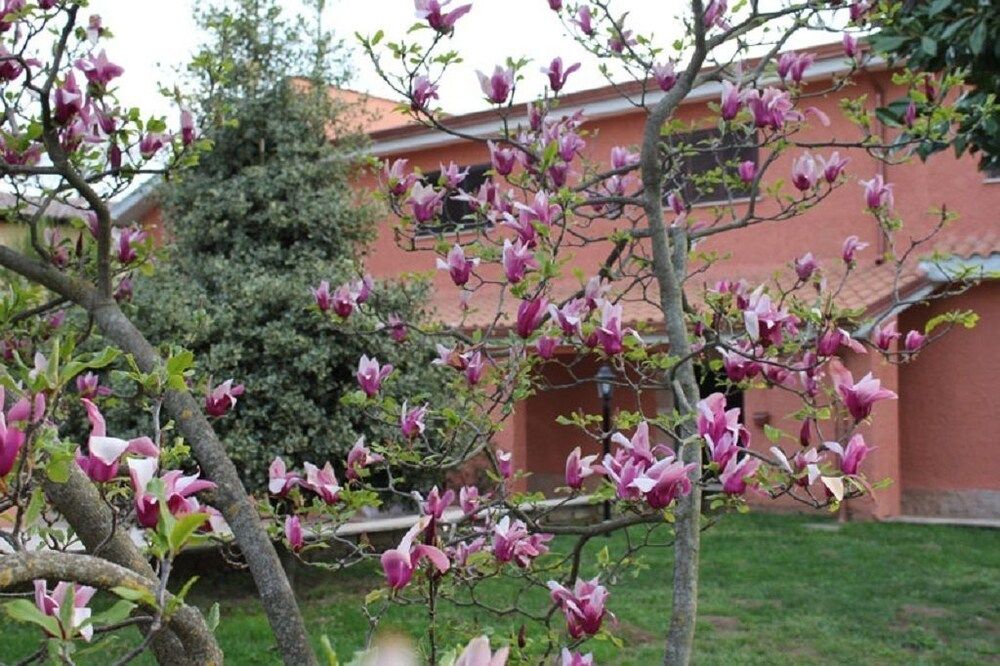 Il Sottosopra