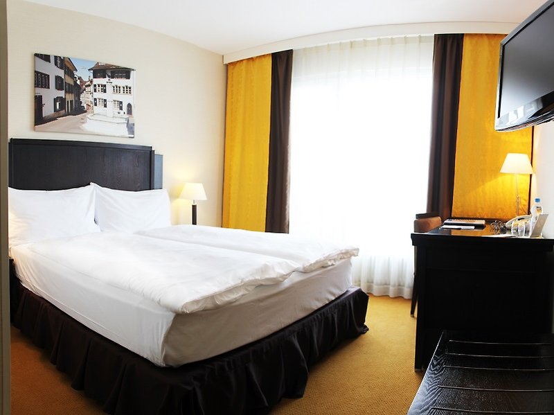 Hotel Euler