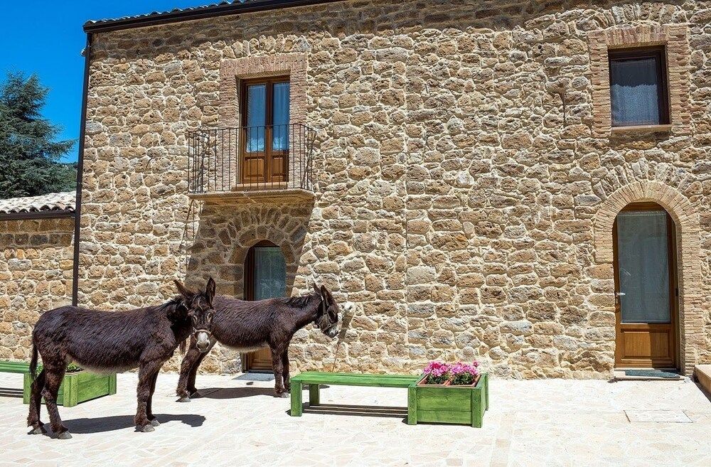 B&B La Quercia e l'Asino