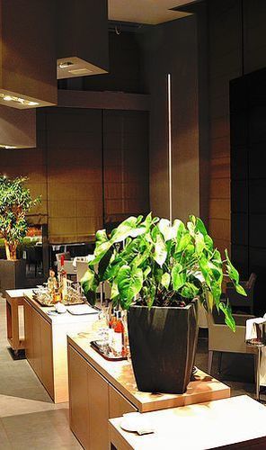 Hotel Link 124