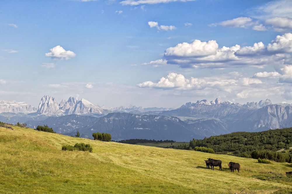 Ansitz Zum Steinbock