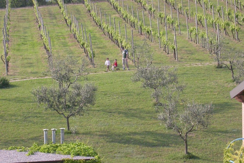 Arriga Alta