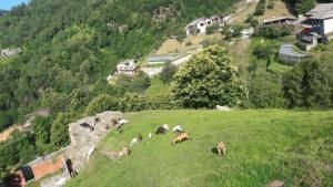 Agriturismo Fiorendo