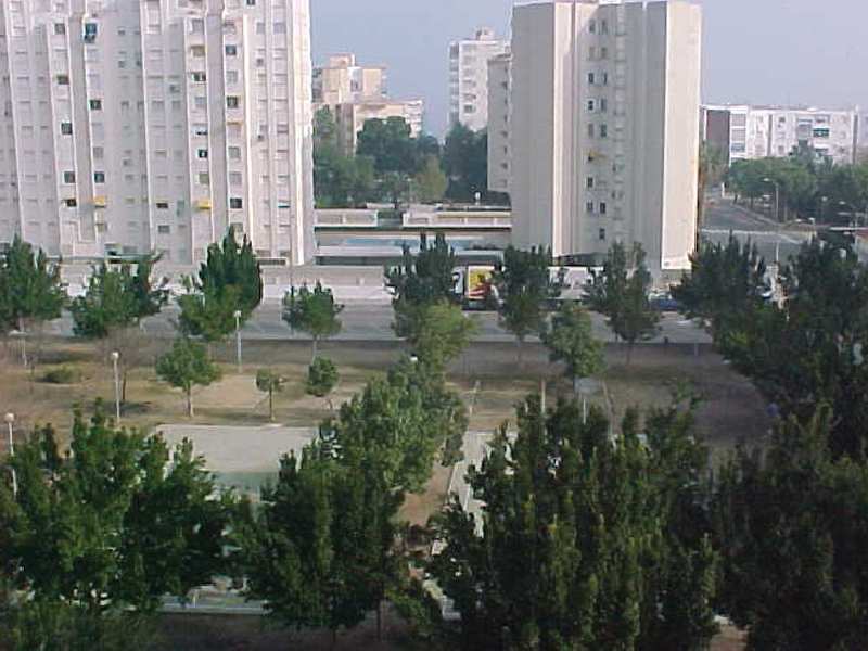 Jardin