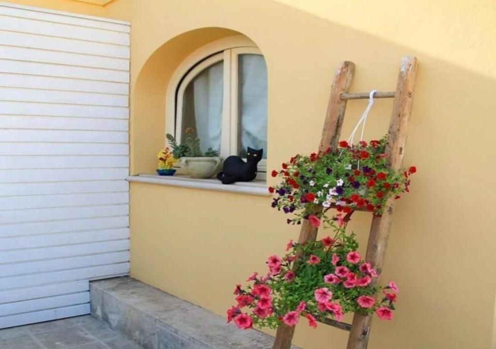 B&B Barone