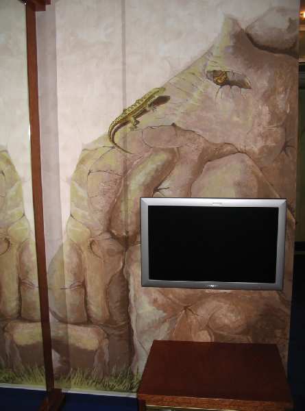Drachen