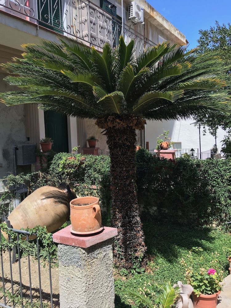 B&B Arte & Mare