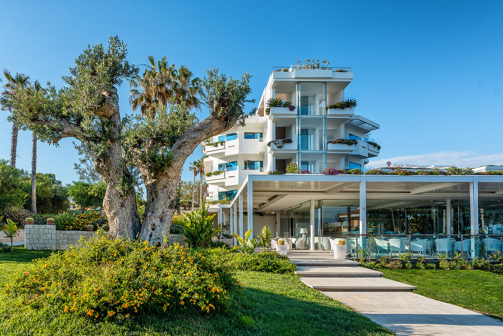 Acacia Palace