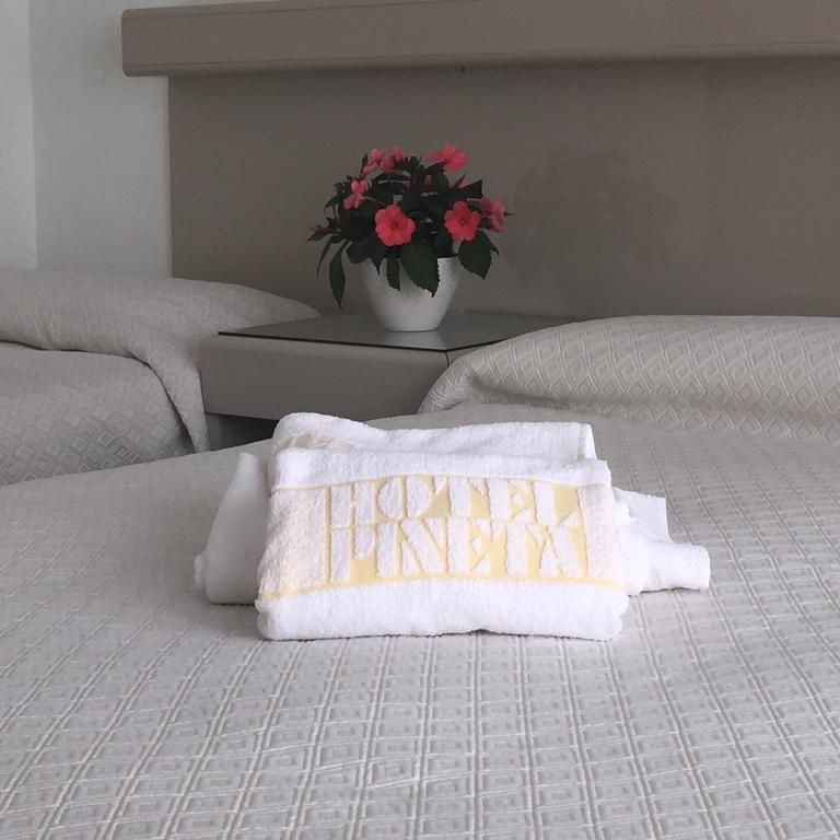 Hotel Pineta
