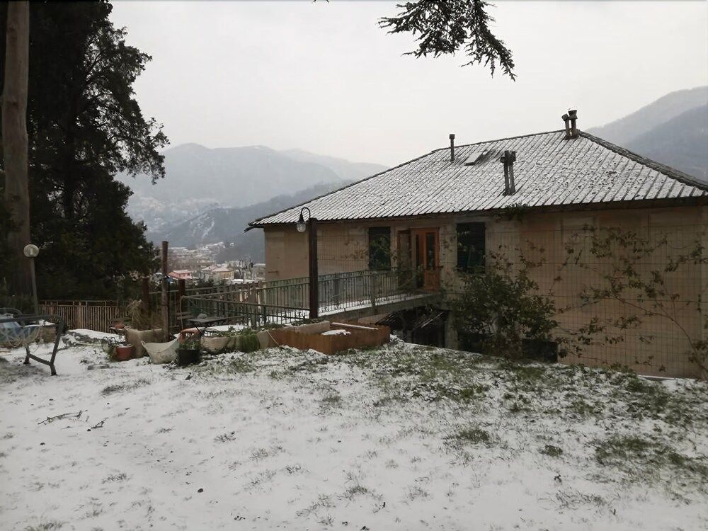 Bed And Breakfast Il Cedro