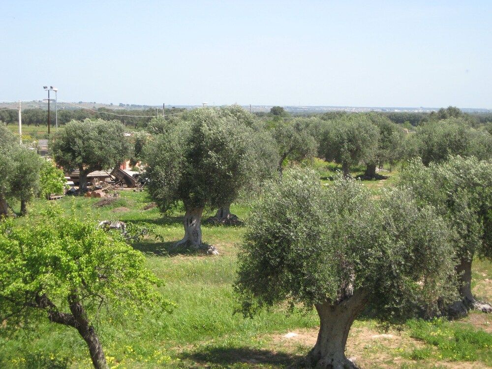 Il Bed & Breakfast Il Sorriso