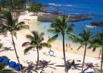 Fairmont Orchid