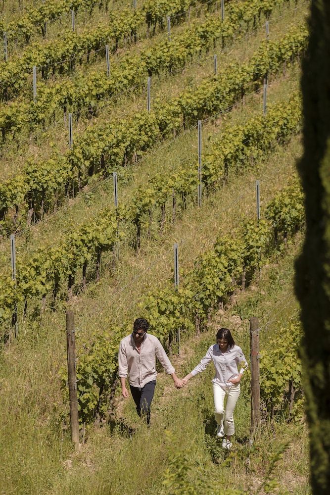 Tenuta di Sticciano