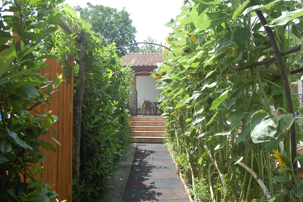 Affittacamere Ristorante Rabbit