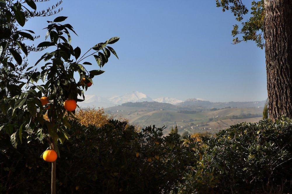 B&B La Casa Di Campagna