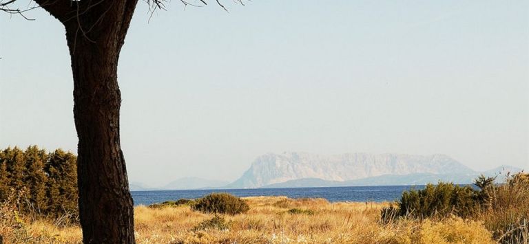 Cala Mirto